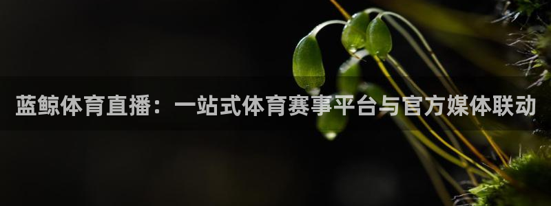 永利股份股票