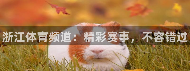 永利国际