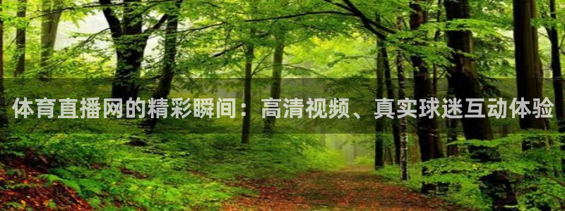 永利皇宫老板