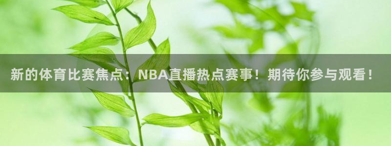 永利皇宫老板