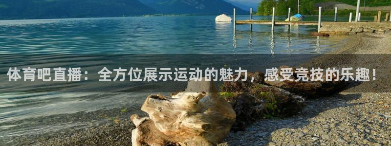 永利皇宫老板