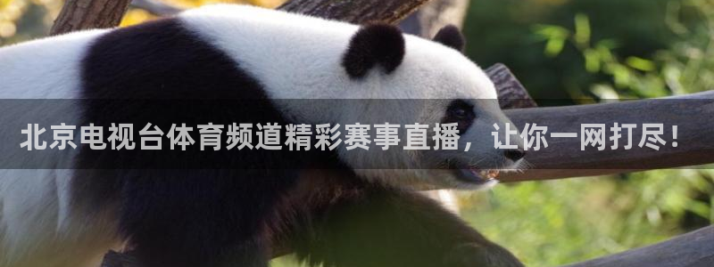 永利桌球俱乐部